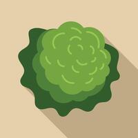 Top view green bush growing on ground with long shadow vector