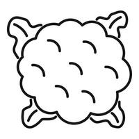 Fresh cauliflower head with leaves on white background vector