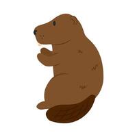 A cartoon groundhog sitting on its hind legs vector
