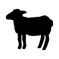 A black sheep is standing in front of a white background vector