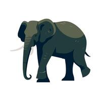 An elephant is standing on a white background vector