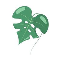 A green leaf with a hole in it vector