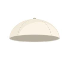 An illustration of a white dome with a black top vector