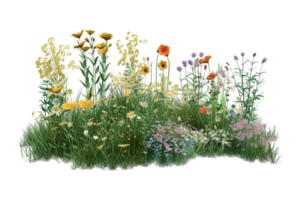 AI-generated a field of wildflowers on a transparent background png