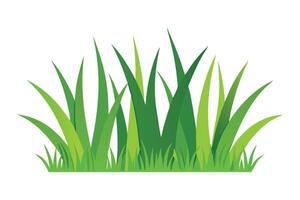 Natural fresh green grass isolated flat illustration on white background vector