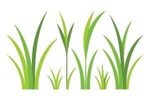 Random shape grass set flat illustration on white background. vector