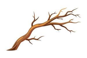 Dry branch of a tree isolated flat illustration on white background vector