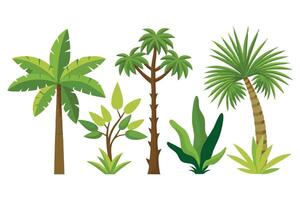 A diverse collection of palm trees showcasing various species and sizes flat illustration set on white background vector