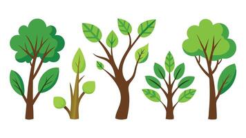 Green forest tree branches elements isolated flat illustration on white background. vector