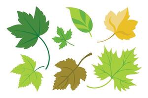Vine Leaves set isolated flat illustration on white background. vector