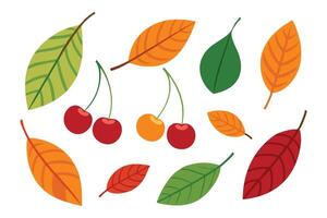 Cherry with Leaves set isolated flat illustration on white background. vector