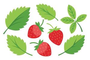 Strawberry with Leaves set isolated flat illustration on white background vector