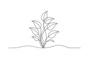 plant with detailed leaves One line continuous line art illustration on white background vector