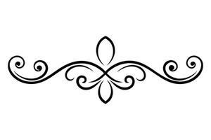 An ornate illustration adorned with swirling patterns, emphasizing decorative artistry and visual elegance illustration vector