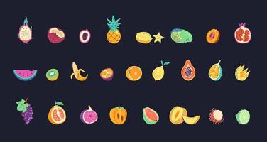 Tropical fruits collection on dark background. vector