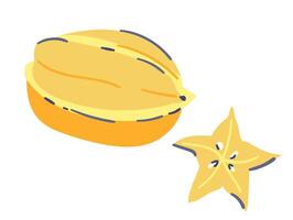 Carambola and carambola slice doodle illustration isolated on white. vector