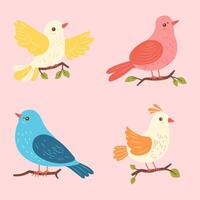Cute Colorful Dove Pigeon Bird Animal on Pink Background vector