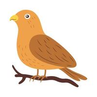 Funny Eagle Hawk Falcon Bird Animal Perched on Tree Twig vector