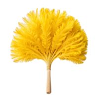 Yellow Feather Duster Isolated on Transparent Background png