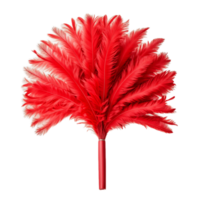 Red Feather Duster Isolated on Transparent Background png