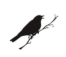 bird silhouette, silhouette of a bird on a branch vector