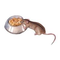Watercolor illustration. Domestic mouse with a bowl of food, a tame mouse with a dark stripe on its back, all objects are hand-drawn with watercolors. For printing on pet product packaging, on fabric vector