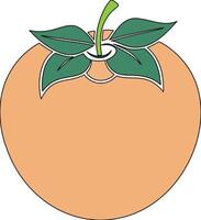 An orange with a green leaf on it vector