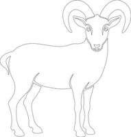 A ram coloring page with a line drawing of the animal vector