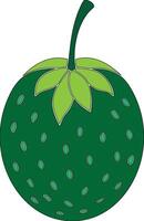 A green strawberry with leaves on it vector
