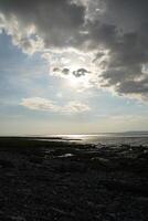 A View of Morcombe Bay photo