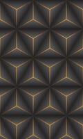 The abstract illuminated pyramid illusion. vector