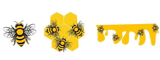 three bee illustrations a large yellow bee with black stripes on the left, bees around a yellow hexagonal honeycomb in the center, and small bees near honey droplets on the right. vector