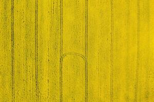 The abstract yellow farm field surface with tractor traces. Aerial top view. photo