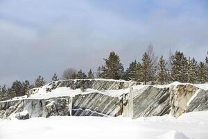 Winter landscape with snow and fir tree photo