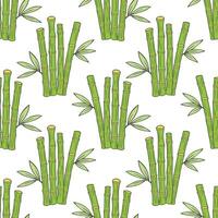 Bamboo sticks pattern with leaves on white background vector