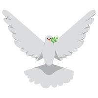A white dove with an olive branch in its beak vector