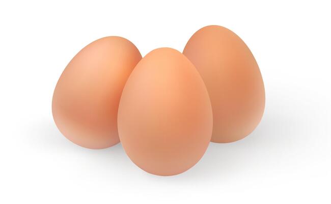Set of realistic chicken eggs. illustration isolated on white background