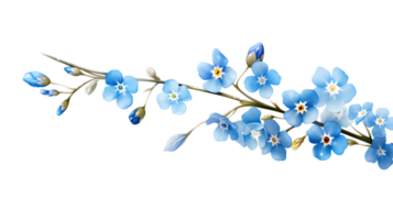 A blue forget-me-not with a tiny, delicate bloom on a transparent background png