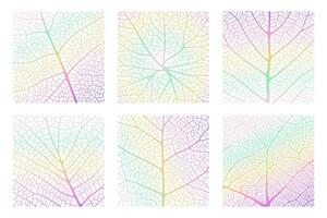 Leaf vein texture abstract background with close up plant leaf cells ornament texture pattern. vector
