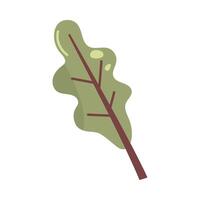 A leaf with a stem on a white background vector