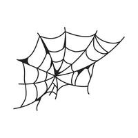 Spider web illustration on white background vector