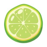 A lime slice is shown on a white background vector