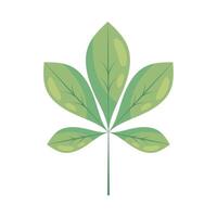 A green leaf icon on a white background vector