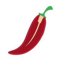 A red chili pepper on a white background vector