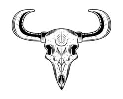A bull skull with horns on a white background vector