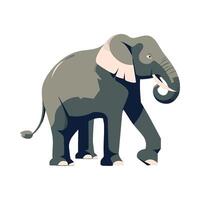 An elephant is standing on a white background vector
