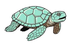 A cartoon turtle with a green shell vector