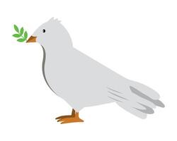 A white dove with a green leaf in its beak vector