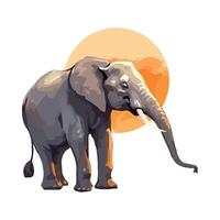 An elephant standing in front of a sunset vector