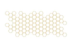 Propolis Honey comb. Honeycomb structure. Honey, pollen, wax, parchment and bee products in sketch style. Stock illustration isolated on a white background. vector